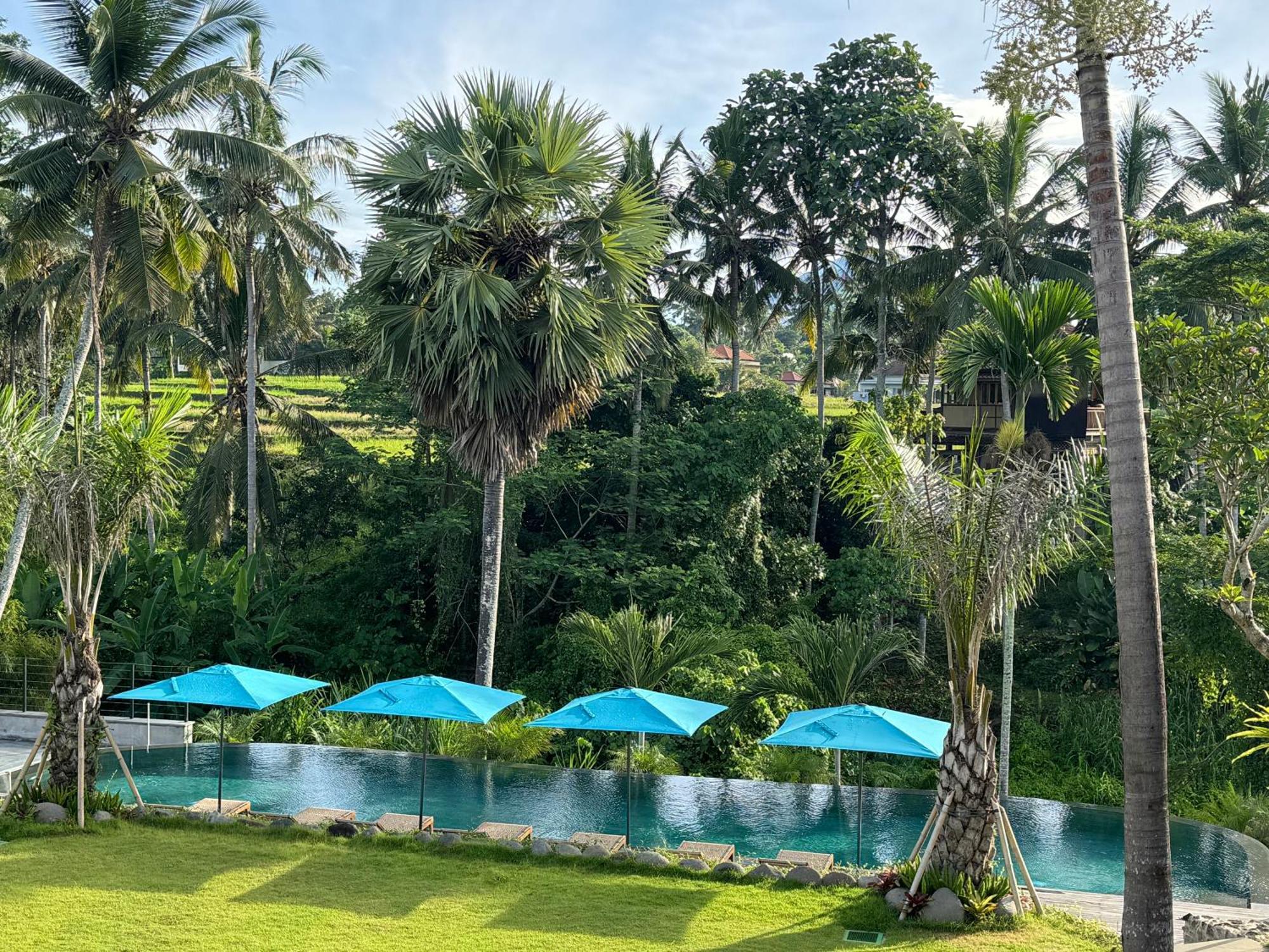 Rudra Sahashrara Bali - Ayurvedic - Health And Wellness Resort อูบุด ภายนอก รูปภาพ
